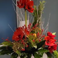 Even_Entreprise_NOEL228