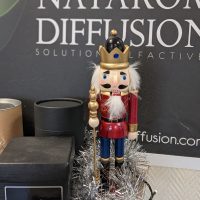 noel natarom 22