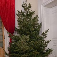 noel chateau 22