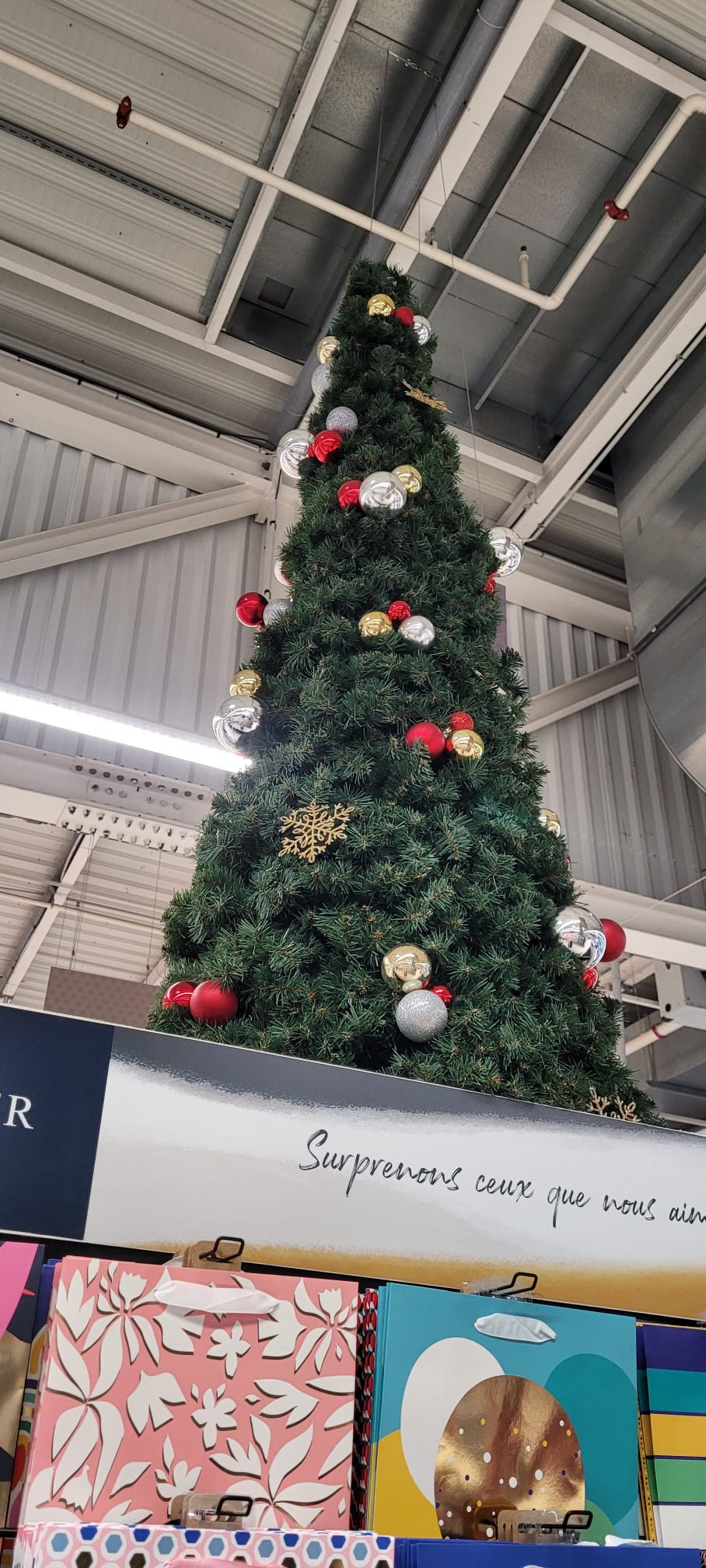 202412_MLB Intermarché Essonne 16