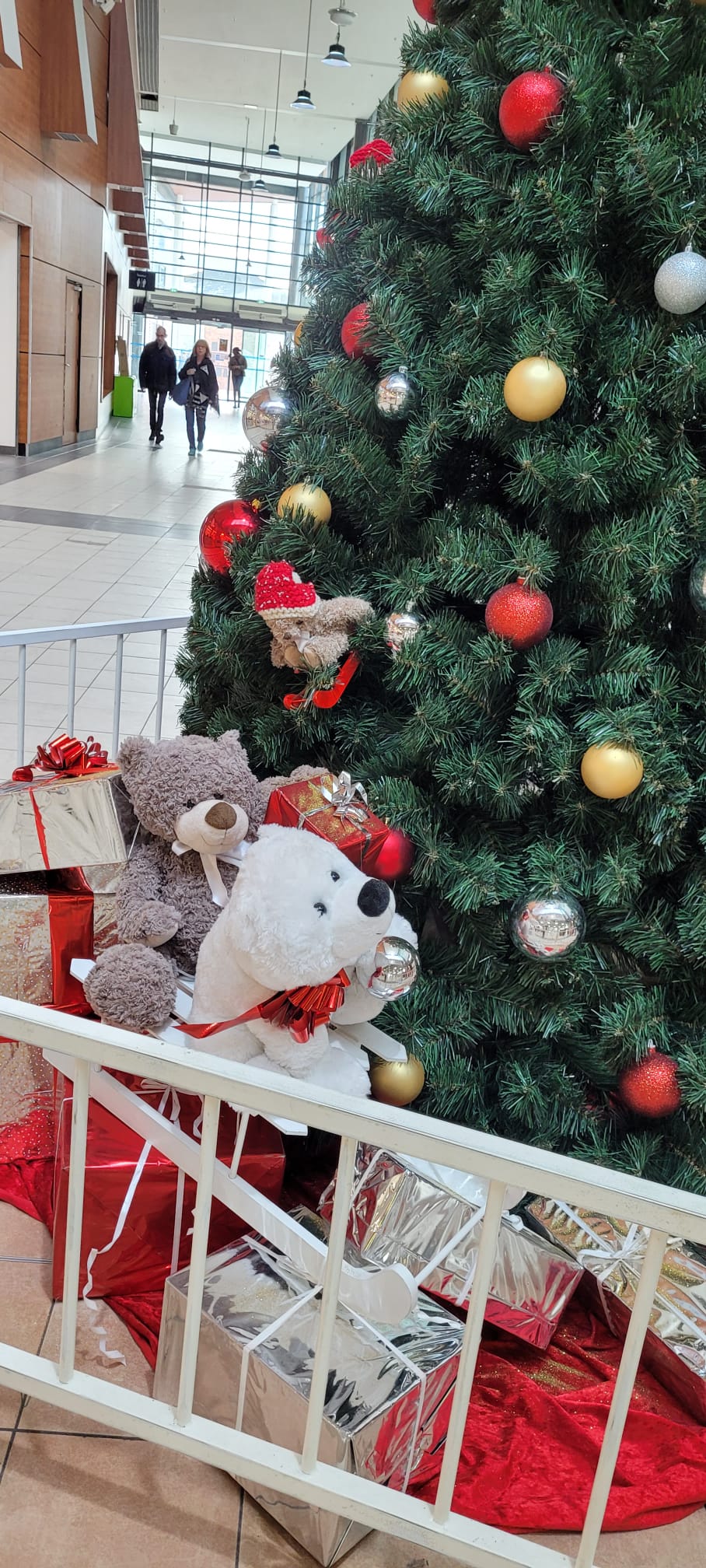 202412_MLB Intermarché Essonne 15